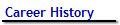 Career History